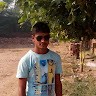 ved pal