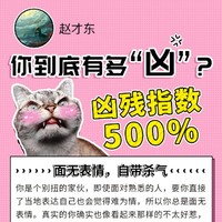 赵才东
