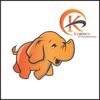 Chaitan Bigdata Hadoop Trainer