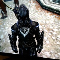 Umbra Colt