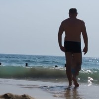 David Royo