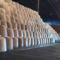 Robert Cristian Balazs