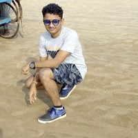 Sambit Raut