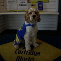 Cartridge World Pineville