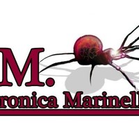 Elettronica Marinelli