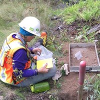 Michelle Wickham M.A.