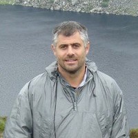David Albert Gual