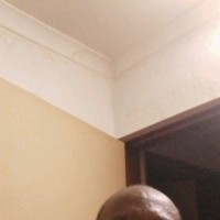 Mandla David