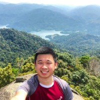Kingsley Wong, Fcca, Cfa, Ca(M)
