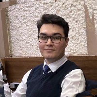 Talha Onur