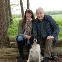 David Beswick