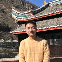 刘哲良