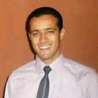 Hesham Mahmoud Mohamed