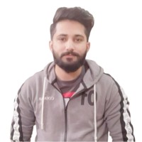 Muhammad Hamza Afzal