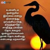Venkatesan C