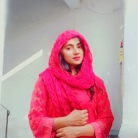 Maria Nazeer (Content Writer)