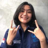 Al Vina Santoso