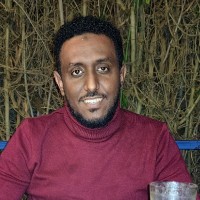 Ahmed Suliman