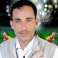 ‫يحيى العليي‬‎