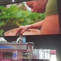 MARCELA FERNANDA ORTIZ