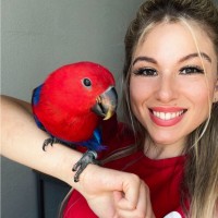 Lou Miranda