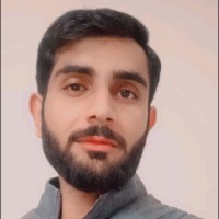 Hassan Malik