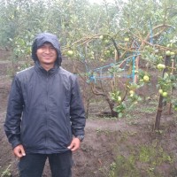 Ahmad Fauzi
