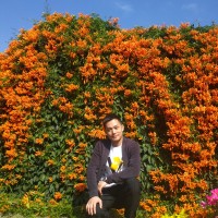 Lyman Luo