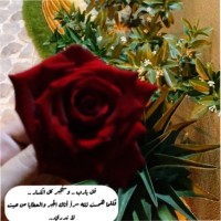 صالحه حسن