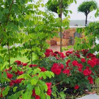 Azad Bahram Mohammad