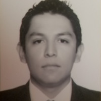 Jesus Arturo Martinez Temores