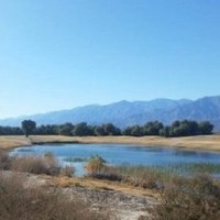 Furnace Creek Resort Death Valley Np
