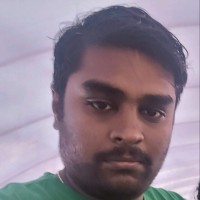 Palaniappan P
