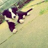 Nahuel Saldubehere
