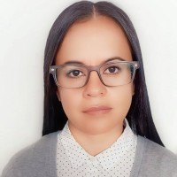 DIANA MILENA RAMIREZ BEJARANO