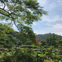 陈东兴