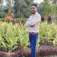 Ravi Vankhade
