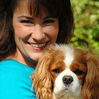 Stacey Ostlund