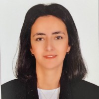 Özlem Çinar