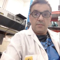 Mohamed Nekam