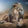 Sharif Adwan