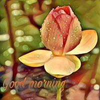 Som Shekar Somu