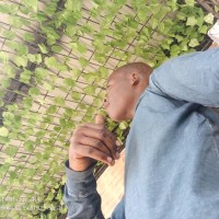 Muhammad Dayyib