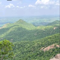 Maganti Rajasekhar