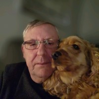 Mike Mabey