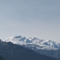 Manali Top Inn