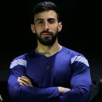 Wael Idriss