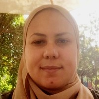 Reem Elsharkawy