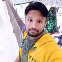 hamid Raja