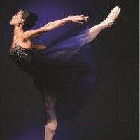 Gulfshore Ballet